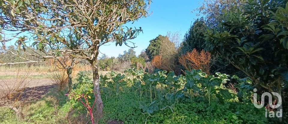 Terreno em Tentúgal de 1 296 m²