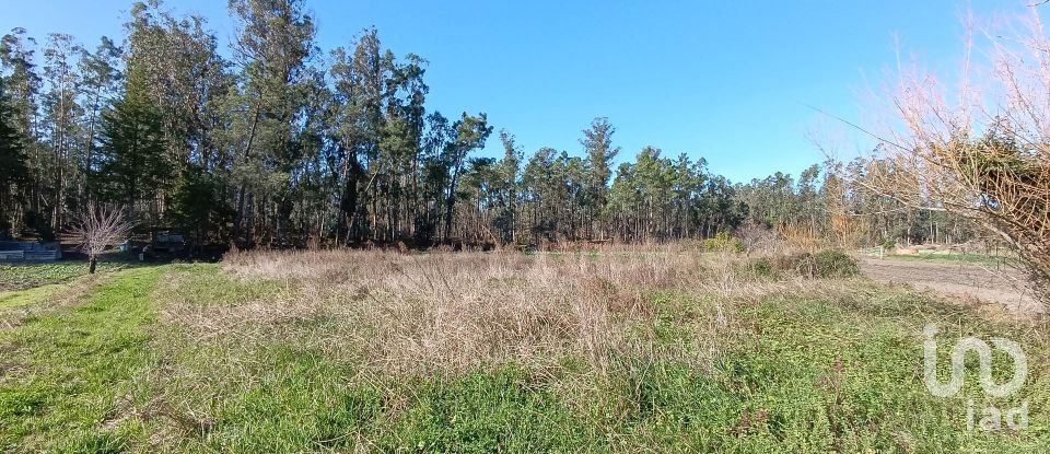 Terreno em Tentúgal de 1 296 m²