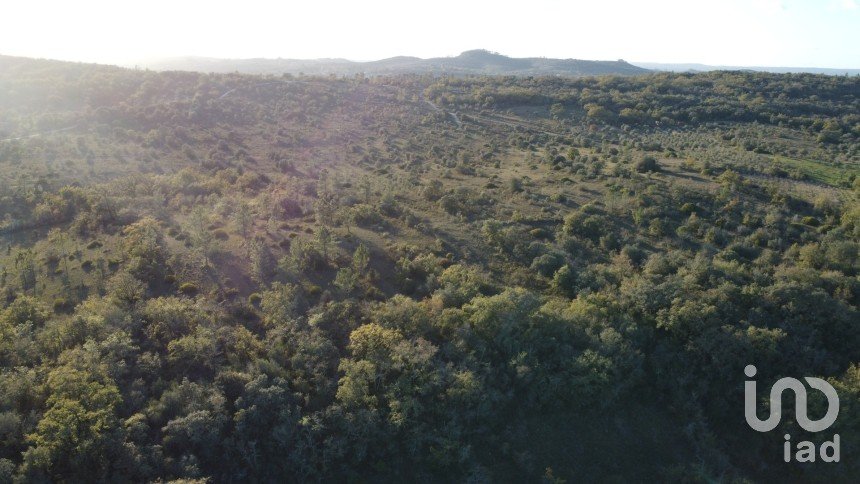 Terreno em Areias e Pias de 2 560 m²