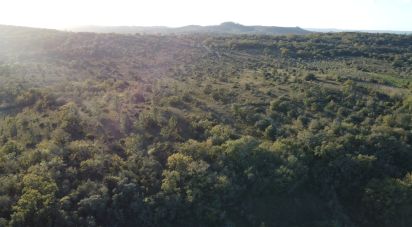 Terreno em Areias e Pias de 2 560 m²