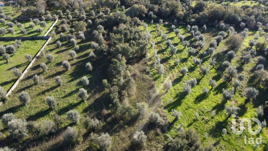 Terreno em Areias e Pias de 1 040 m²