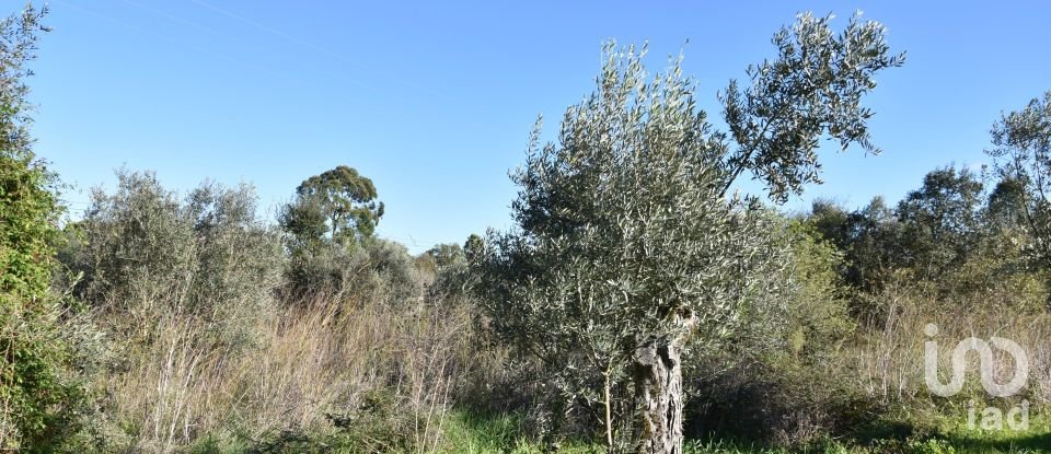 Terreno em Areias e Pias de 1 040 m²