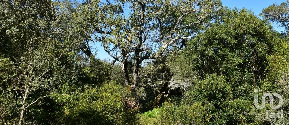 Terreno em Areias e Pias de 1 160 m²