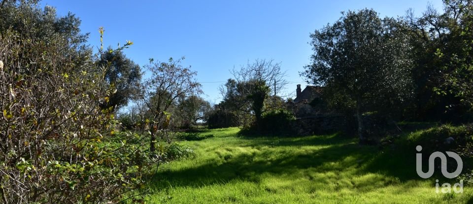 Terreno em Areias e Pias de 1 160 m²