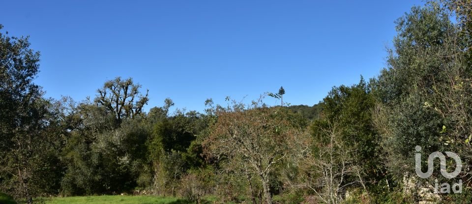 Terreno em Areias e Pias de 1 160 m²