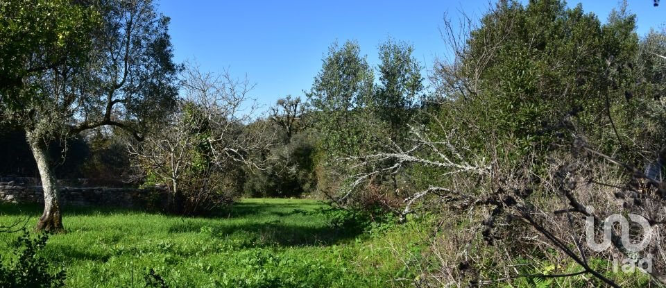 Terreno em Areias e Pias de 1 160 m²