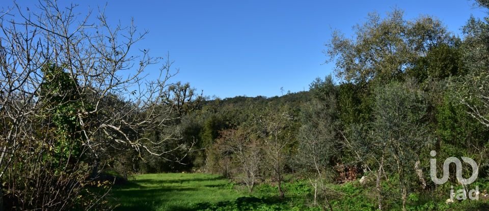 Terreno em Areias e Pias de 1 160 m²