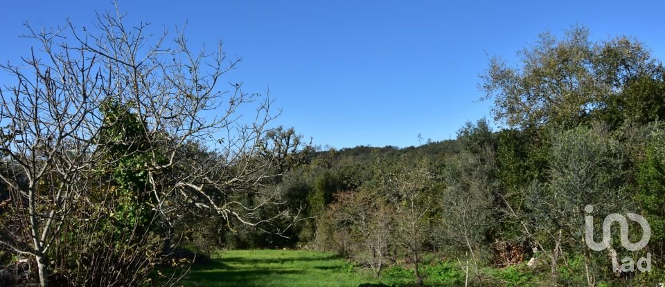 Terreno em Areias e Pias de 1 160 m²