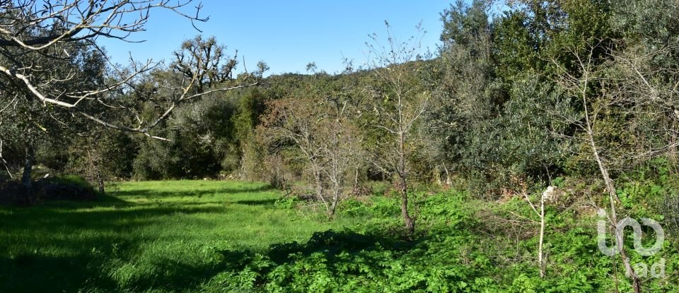 Terreno em Areias e Pias de 1 160 m²