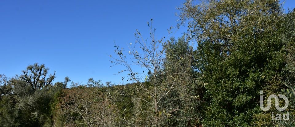 Terreno em Areias e Pias de 1 160 m²