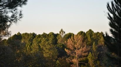 Terreno em Areias e Pias de 5 240 m²