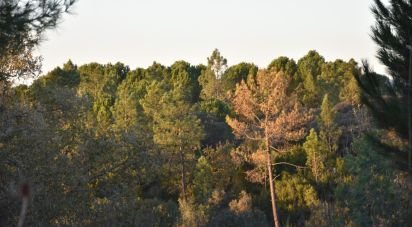 Terreno em Areias e Pias de 5 240 m²