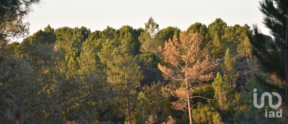 Terreno em Areias e Pias de 5 240 m²