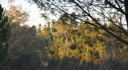 Terreno em Areias e Pias de 5 240 m²