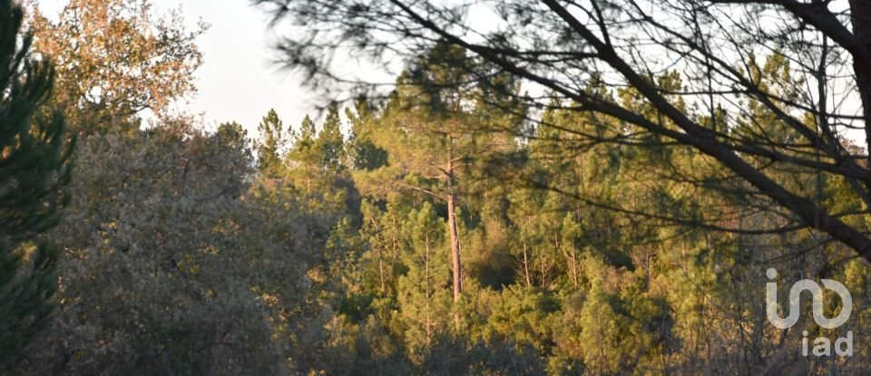 Terreno em Areias e Pias de 5 240 m²