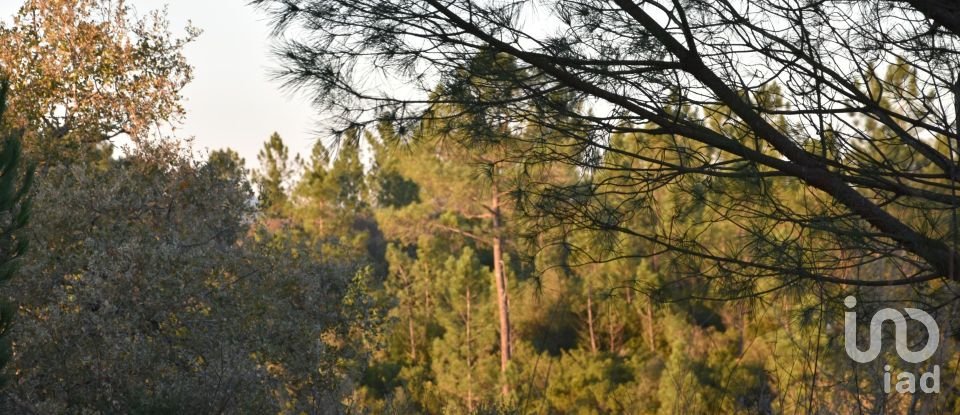 Terreno em Areias e Pias de 5 240 m²