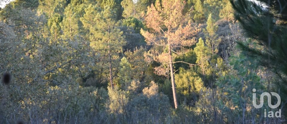 Terreno em Areias e Pias de 5 240 m²