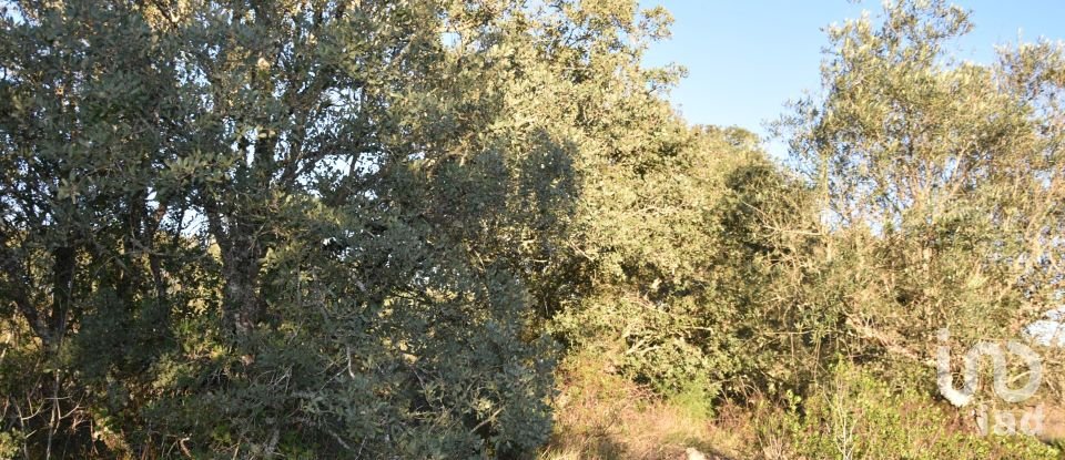 Terreno em Areias e Pias de 5 640 m²