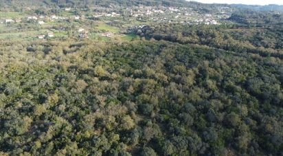 Terreno em Areias e Pias de 1 440 m²