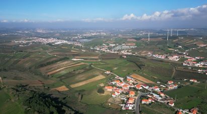 Terreno em Freiria de 15 080 m²