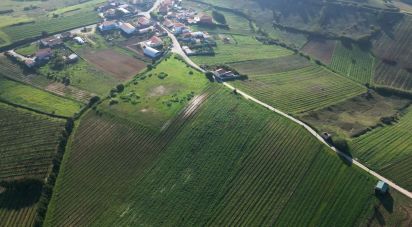 Terreno em Freiria de 15 080 m²