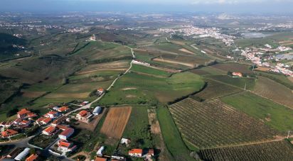 Terreno em Freiria de 15 080 m²