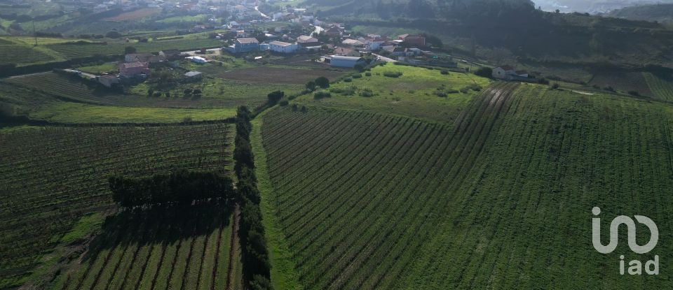 Terreno em Freiria de 15 080 m²