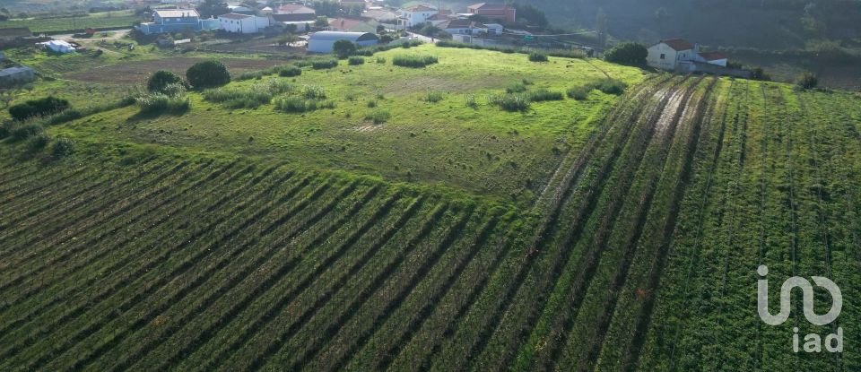 Terreno em Freiria de 15 080 m²