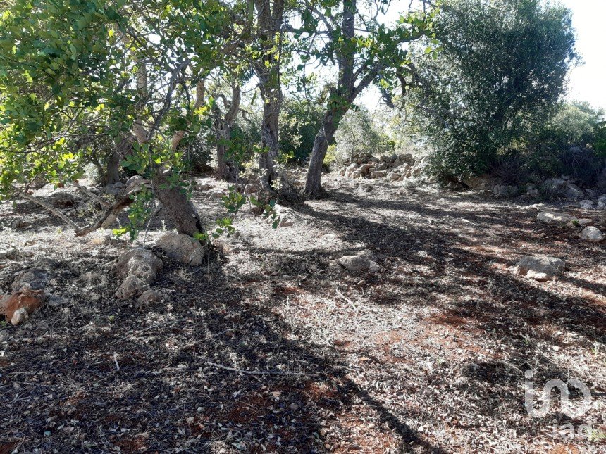 Terreno Agrícola em Alte de 6 870 m²