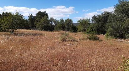 Terreno Agrícola em Alte de 6 870 m²