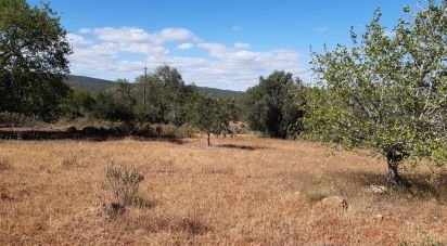 Terreno Agrícola em Alte de 6 870 m²