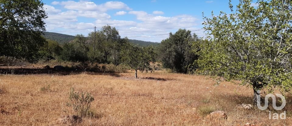 Terreno Agrícola em Alte de 6 870 m²