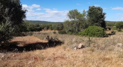 Terreno Agrícola em Alte de 6 870 m²