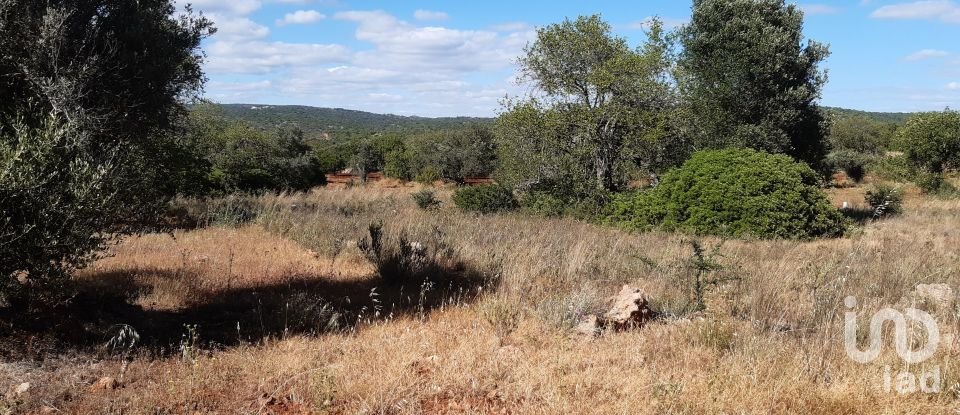 Terreno Agrícola em Alte de 6 870 m²