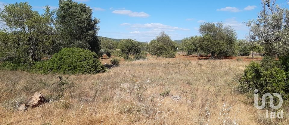 Terreno Agrícola em Alte de 6 870 m²