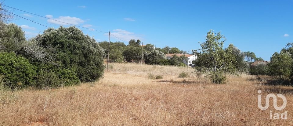 Terreno Agrícola em Alte de 6 870 m²