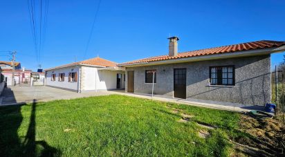 Casa / Villa T3 em Murtosa de 170 m²