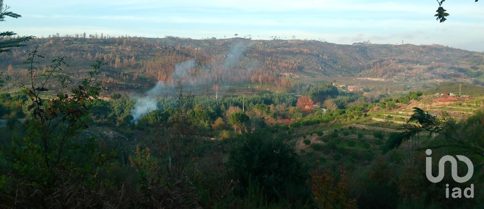 Terreno em Canas de Senhorim de 1 782 m²