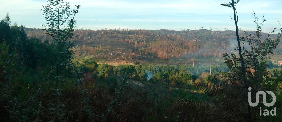 Terreno em Canas de Senhorim de 1 782 m²