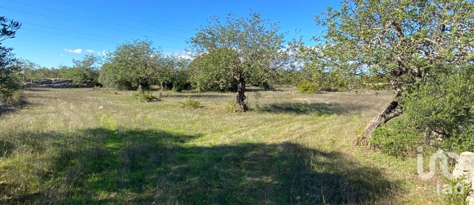 Terreno Agrícola em São Brás de Alportel de 7 100 m²