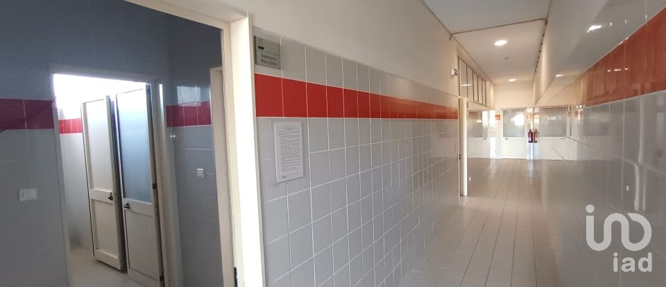 Murs commerciaux à Gavião e Atalaia de 6 430 m²