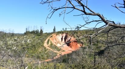 Terreno em Areias e Pias de 3 240 m²