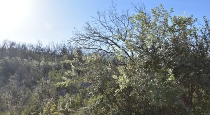 Terreno em Areias e Pias de 3 240 m²