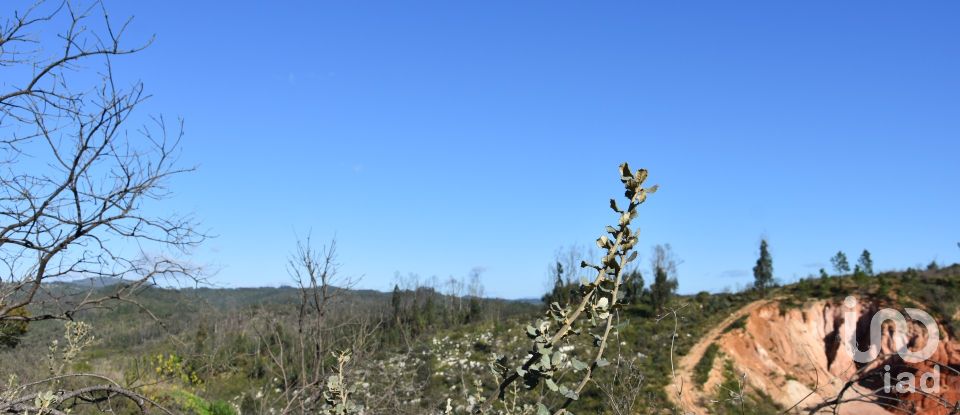 Terreno em Areias e Pias de 3 240 m²