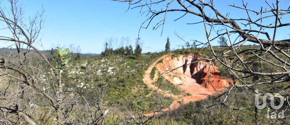 Terreno em Areias e Pias de 3 240 m²