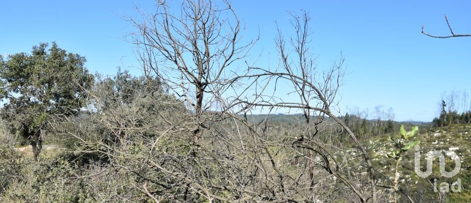 Terreno em Areias e Pias de 3 240 m²