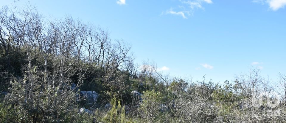 Terreno em Areias e Pias de 3 240 m²