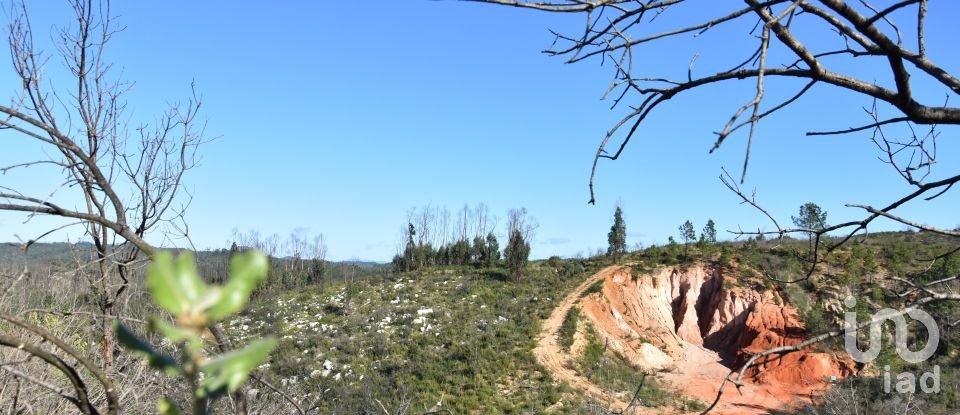 Terreno em Areias e Pias de 3 240 m²