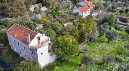 Casa / Villa T3 em Póvoa de Midões de 410 m²