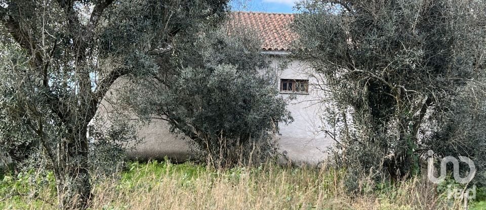 Casa tradicional T2 em Abrunhosa-a-Velha de 263 m²